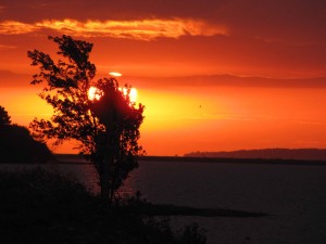 SOLEIL
