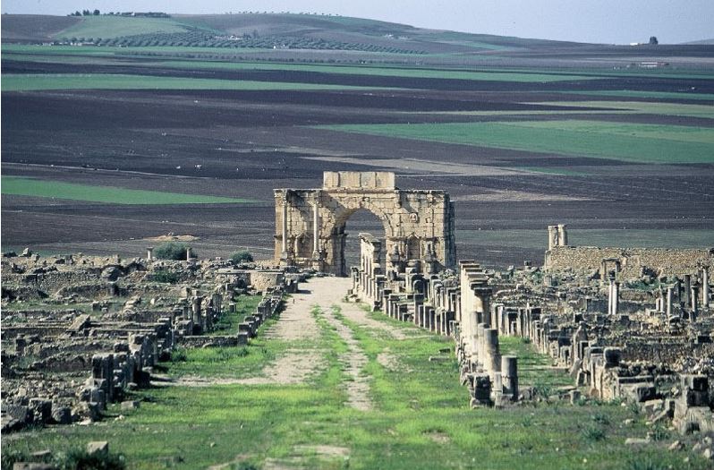 Volubilis des temps qui changent